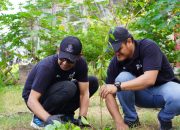 Peringati Hari Lingkungan Hidup Sedunia, Ratusan Pegawai PLN Inisiasi Kegiatan Tanam Pohon Produktif, Bersih Pantai Sekaligus Pengolahan Sampah jadi Barang Bernilai Guna