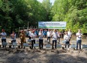 Peringati Hari Lingkungan Hidup Sedunia, Yayasan AHM Tanam Puluhan Ribu Mangrove