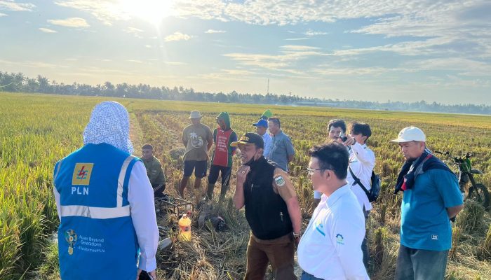 Listrik Hijau dari PLN Mampu Tekan Biaya Operasional Petani di Sulsel Hingga 83 Persen